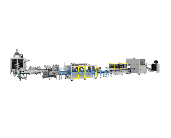 Strip/Bag Automatic Cartoning Packaging Solutions